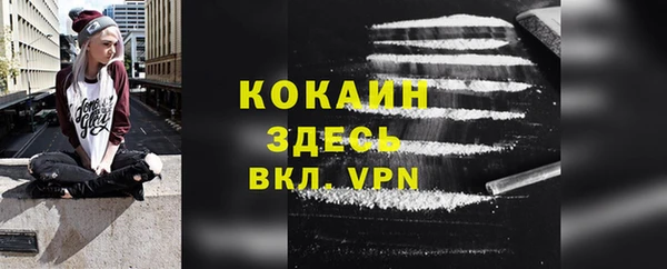 PSILOCYBIN Бронницы