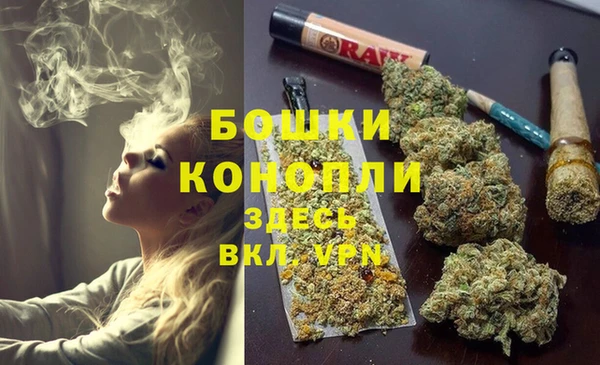 шишки Ачинск