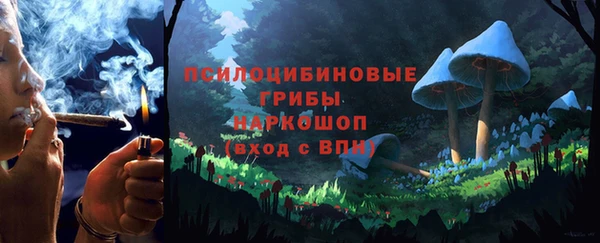 стафф Магадан